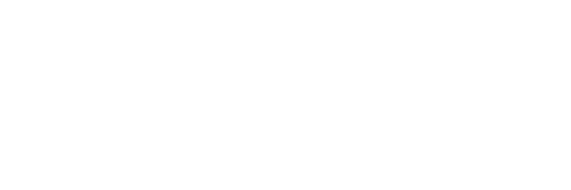 Driesen Groep logo