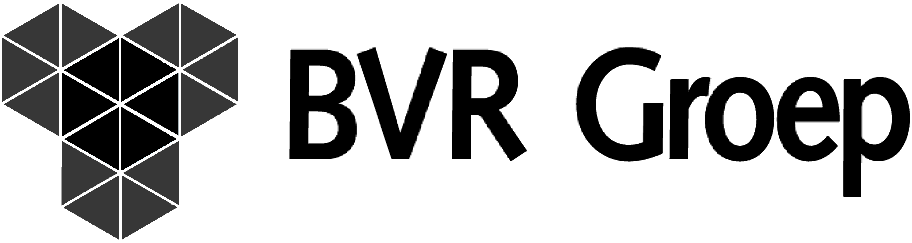 BVR groep zwart BVR groep zwart