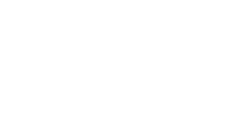 Nieuwkoop-Europe-logo-white