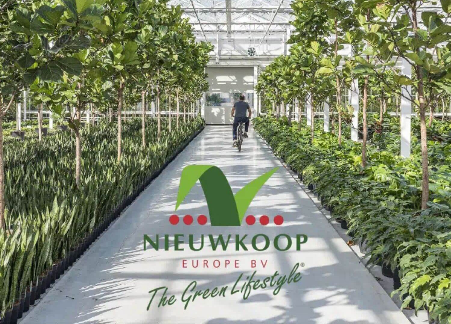 Untitled-design-3-aspect-ratio-376-270