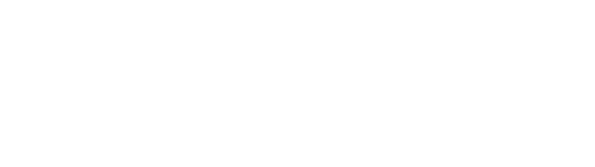 Ydentic_logo_WIT
